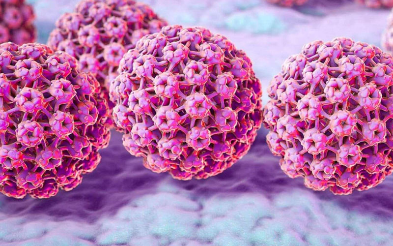 آزمایش hpv تهران و معرفی آزمایشگاه نیل به عنوان بهترین آزمایشگاه آزمایش hpv تهران و هزینه تست hpv مردان و تفسیر آزمایش hpv با نوبت دهی آنلاین و سریع هزینه آزمایش hpv سال آزمایش hpv مردان آزمایش hpv چگونه انجام میشود تفسیر آزمایش hpv برای آزمایش hpv باید ناشتا بود؟ آزمایش hpv مردان آزمایش رایگان hpv جواب آزمایش hpv چقدر طول می کشد - HPV پرخطر