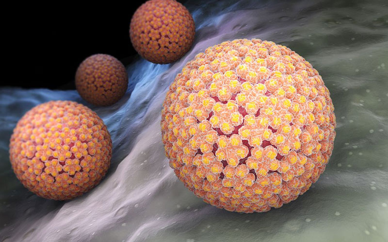 آزمایش hpv تهران و معرفی آزمایشگاه نیل به عنوان بهترین آزمایشگاه آزمایش hpv تهران و هزینه تست hpv مردان و تفسیر آزمایش hpv با نوبت دهی آنلاین و سریع هزینه آزمایش hpv سال آزمایش hpv مردان آزمایش hpv چگونه انجام میشود تفسیر آزمایش hpv برای آزمایش hpv باید ناشتا بود؟ آزمایش hpv مردان آزمایش رایگان hpv جواب آزمایش hpv چقدر طول می کشد - HPV کم‌خطر