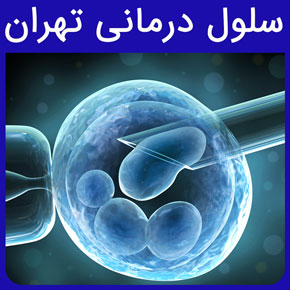 سلول درمانی تهران و معرفی نیل بهترین مرکز سلول درمانی تهران با بهترین دکتر سلول درمانی و تعیین هزینه سلول درمانی با نوبت دهی آنلاین و سریع